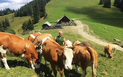 Heimat Österreich „Almleben rund um den Hochlantsch