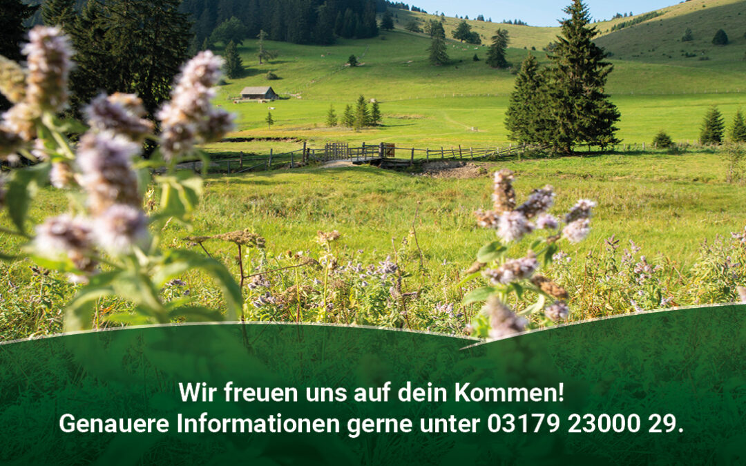 Informationsabend – Förderlandschaft ÖPUL Naturschutzflächen und Energie